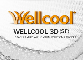 Quanzhou Wellcool Pad Industry Technology Co., Ltd.