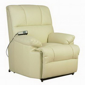 Commerical Leisure Chair