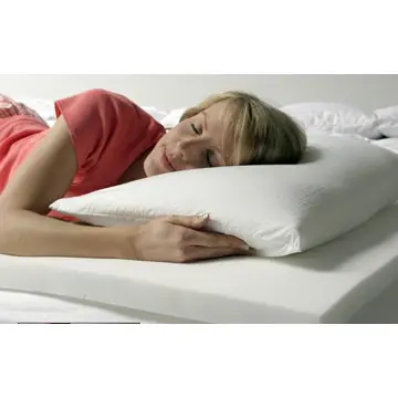 Slow rebound sponge pillow