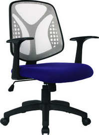 Commerical Common Office Chair