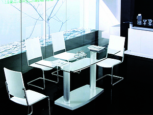 Dining Table餐桌椅