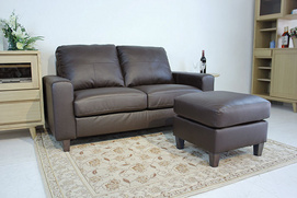Modern Brown Leather Two-seater Sofa