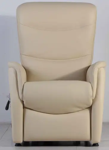 SD-361 Modern Functional Elderly Chair