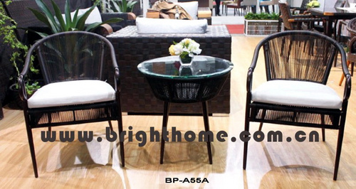 BP-A55A