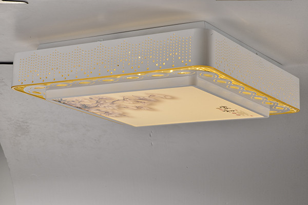 多彩注塑吸顶灯