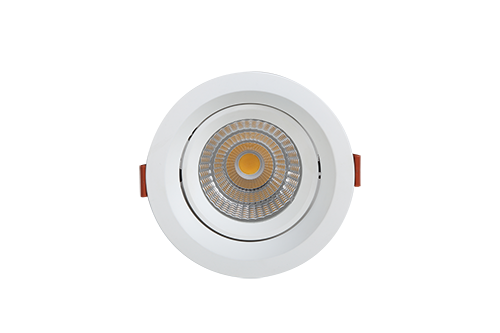 LED 筒灯
