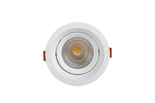 LED 筒灯