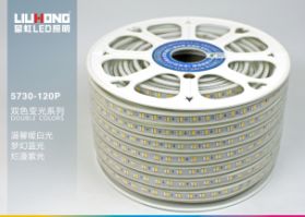 5730双色变光灯带