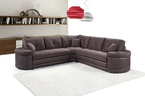 Modern L-shaped Leather Sofa  TEYOUNG-01