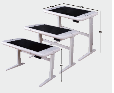 Functional Computer Table