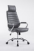ZR-8112 office chair