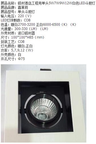 酒店铝材白色LED斗胆灯
