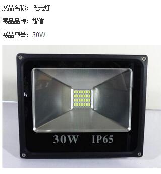 现代黑色室内30W泛光灯
