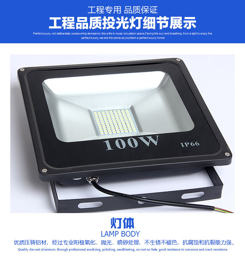 程熙100WLED投光灯