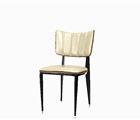 Modern Fashionable Dining Chair