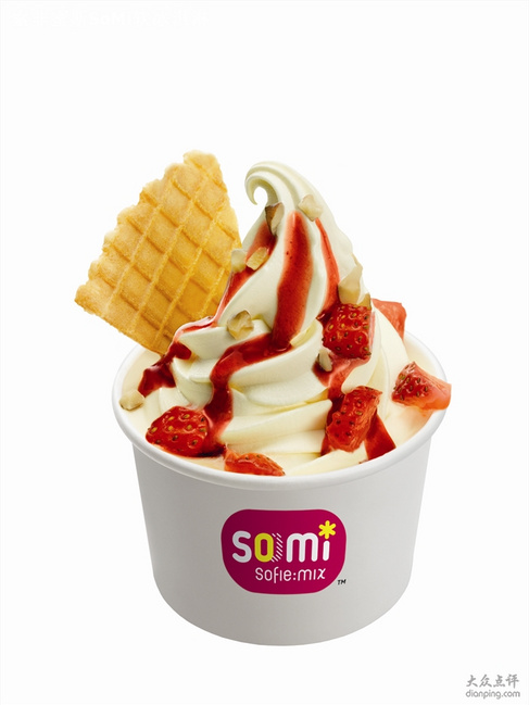 软冰淇淋预拌粉 SOFE PREMIXED ICE CREAM POWDER