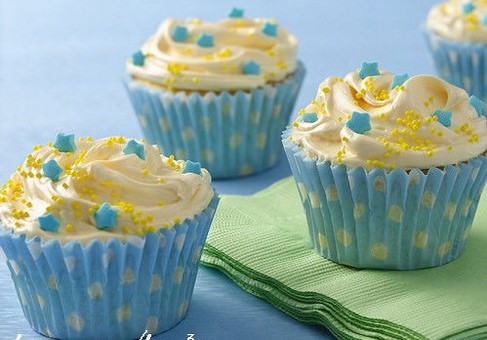 软冰淇淋预拌粉 SOFE PREMIXED ICE CREAM POWDER