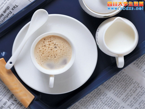 泡沫奶精 FOAMING CREAMER