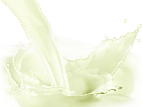 植物脂肪粉用于配方奶粉