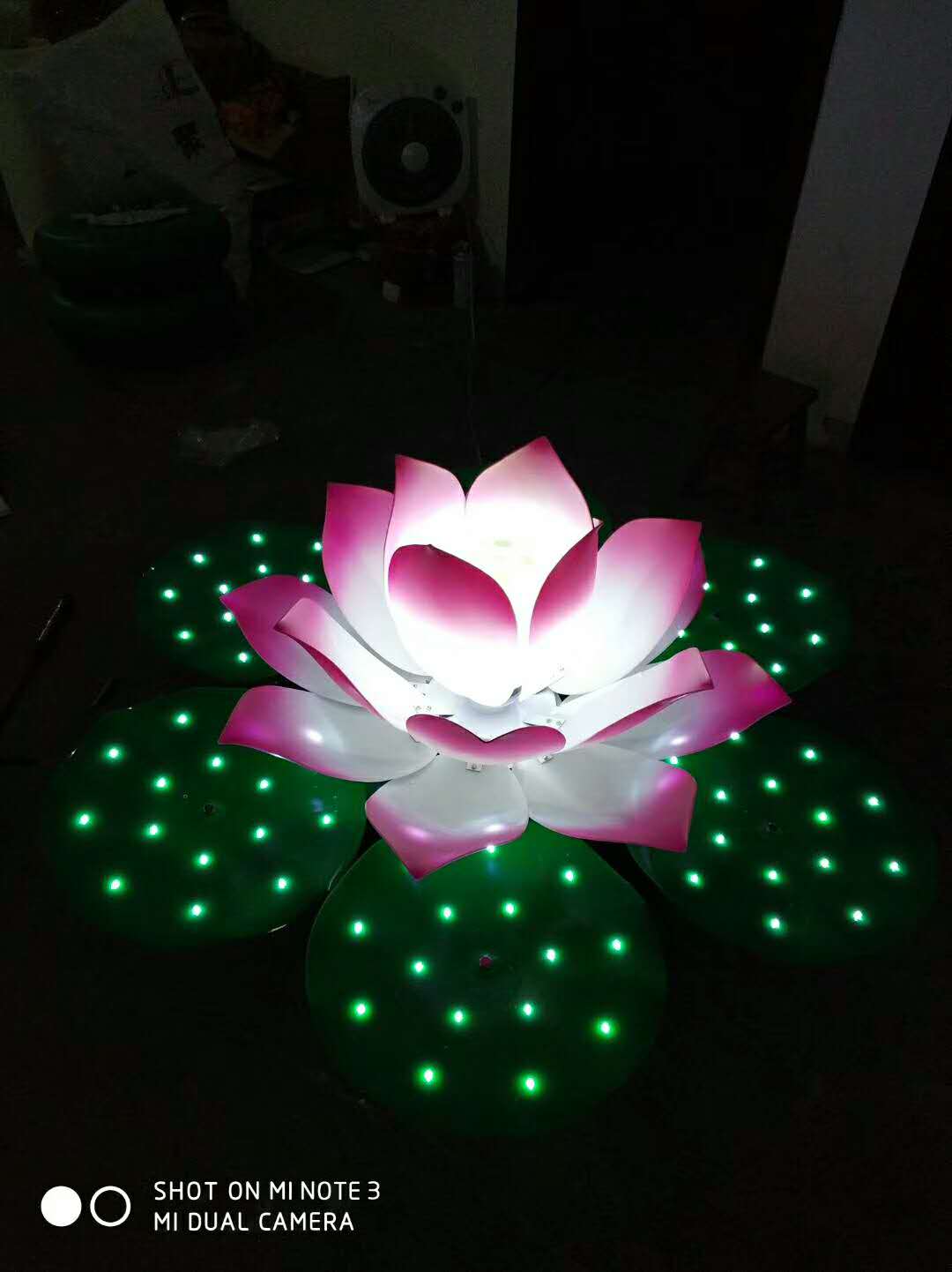 大莲花