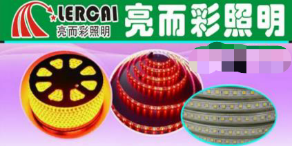 亮而彩led灯带 白富美5050高压 防水rgb高亮10mm/60珠软灯条220V