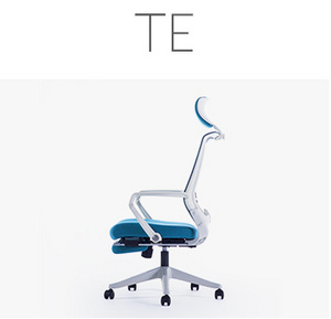 TE 办公椅
