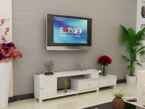 BR-TV865