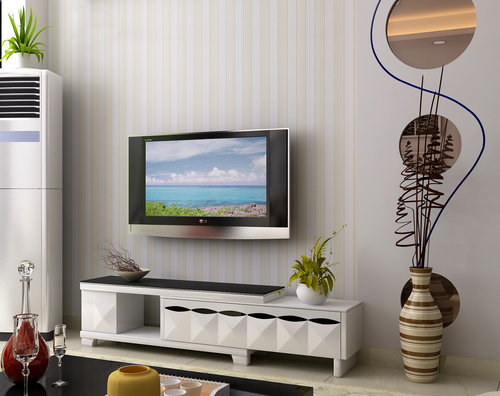 BR-TV858