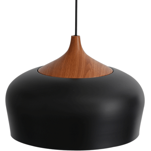 Thomson pendant light