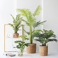Simulated Green Plant Series