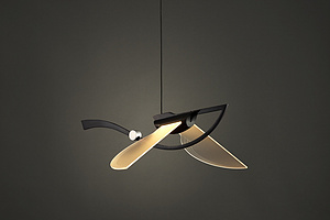 Flying Fish BLACK装饰灯