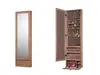 Wall Mounted Mirror Jewelry Cabinet