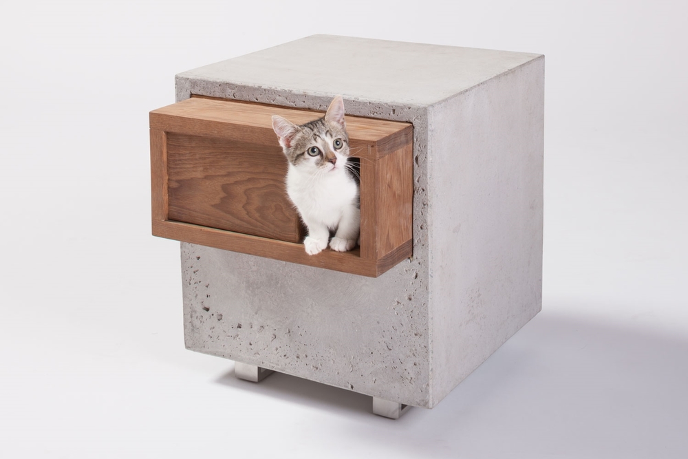 Куб для кошек. Little Cat мебель. Икеа куб с кошкой. Maxwell the Cat куб.