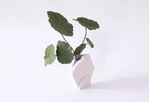 Teumsae 壁式花瓶，模仿通过石栅栏间隙生长的植物