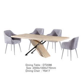 餐桌椅 DT2086