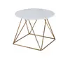 Modern Minimalist Coffee Table with Golden Legs
