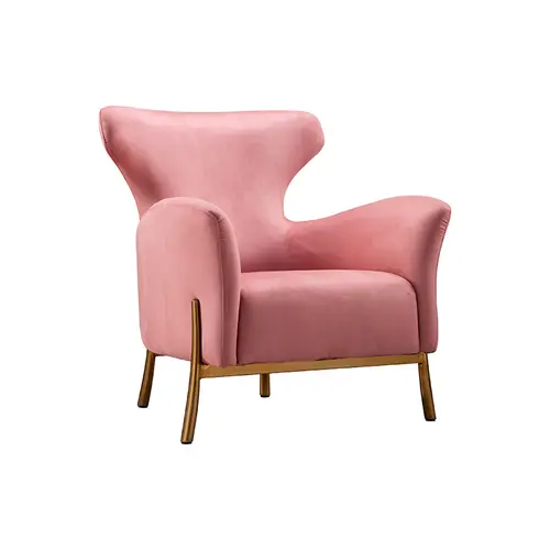 Pink Modern Style Lounge Chair