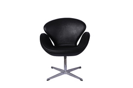 Tengye TENGYE Nordic Swan Chair Classic Office Leisure Chair Creative Fashion Leisure Negotiation Chair TY-402B