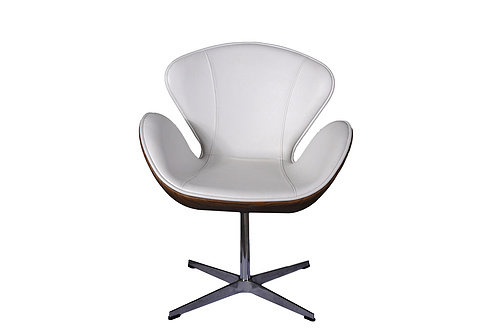 Tengye TENGYE Nordic Swan Chair Classic Office Leisure Chair Creative Fashion Leisure Negotiation Chair TY-402C