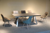 Dining chair 餐椅