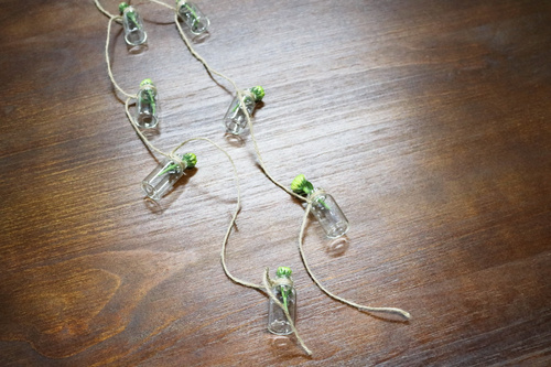 透明水培植物吊装饰瓶，摆拍道具装饰-test
