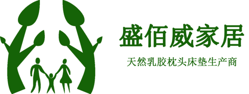 江苏盛佰威公司Logo