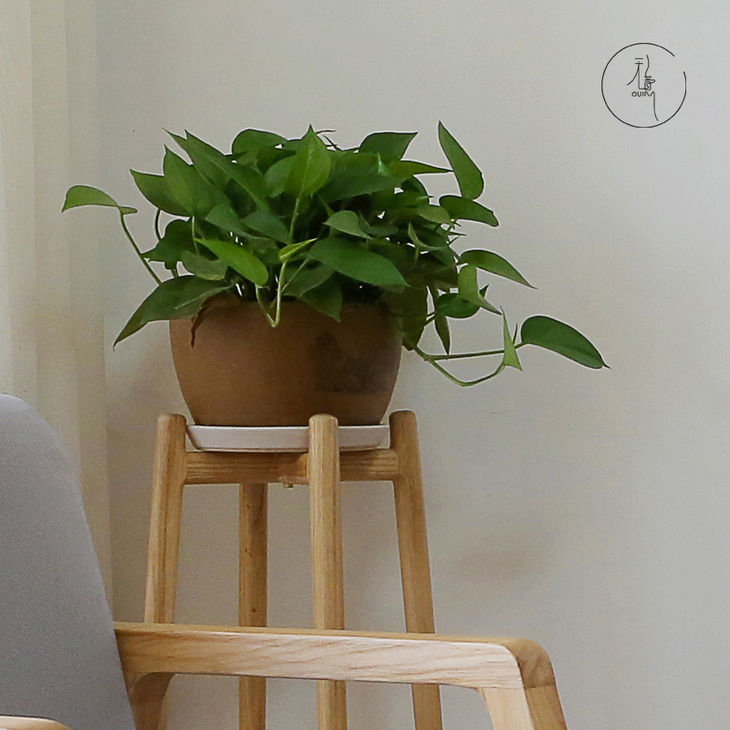 简约实木花架客厅创意落地室内木质植物花盆架单个花几花架子木