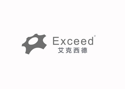 艾克西德(公司Logo