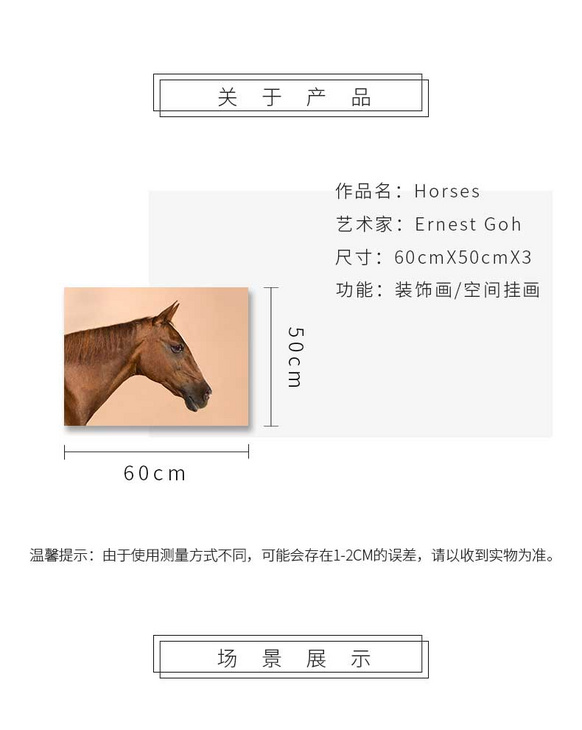 维格列艺术 摄影艺术品 现代抽象具象装饰画 私人住宅 酒店会所 办公空间特殊定制尺寸请联系客服
