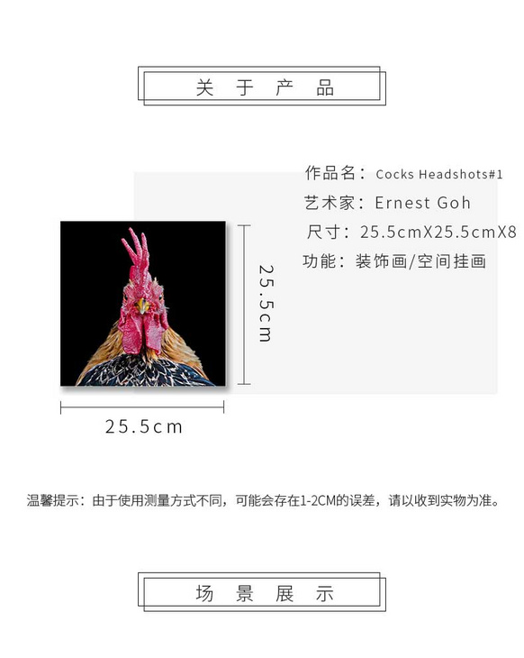 维格列艺术 摄影艺术品 现代抽象具象装饰画 私人住宅 酒店会所 办公空间特殊定制尺寸请联系客服