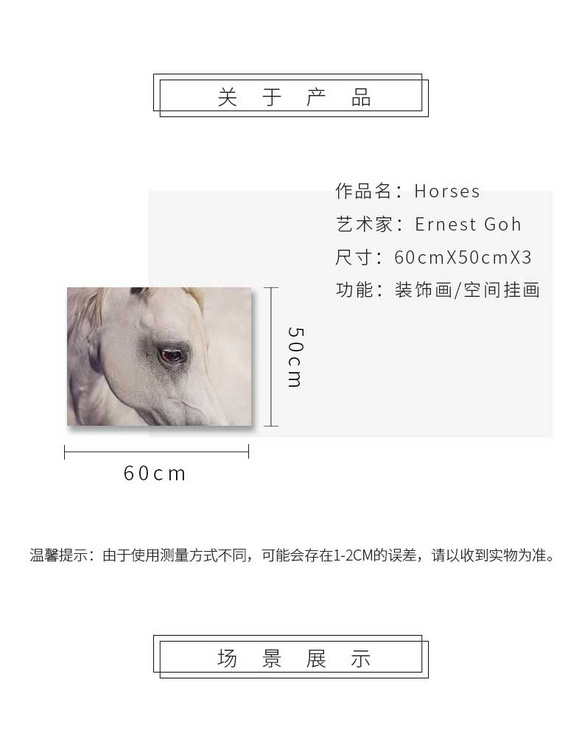 维格列艺术 摄影艺术品 现代抽象具象装饰画 私人住宅 酒店会所 办公空间特殊定制尺寸请联系客服