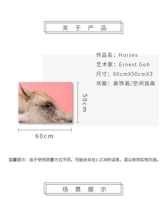 维格列艺术 摄影艺术品 现代抽象具象装饰画 私人住宅 酒店会所 办公空间特殊定制尺寸请联系客服