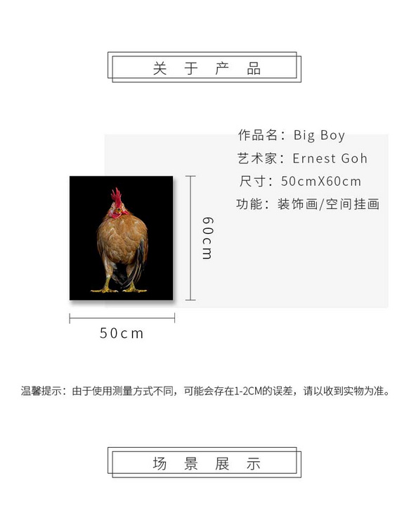 维格列艺术 摄影艺术品 现代抽象具象装饰画 私人住宅 酒店会所 办公空间特殊定制尺寸请联系客服