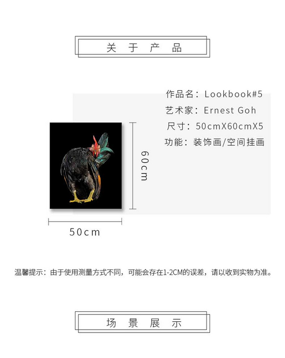 維格列藝術(shù) 攝影藝術(shù)品 現(xiàn)代抽象具象裝飾畫 私人住宅 酒店會(huì)所 辦公空間特殊定制尺寸請(qǐng)聯(lián)系客服